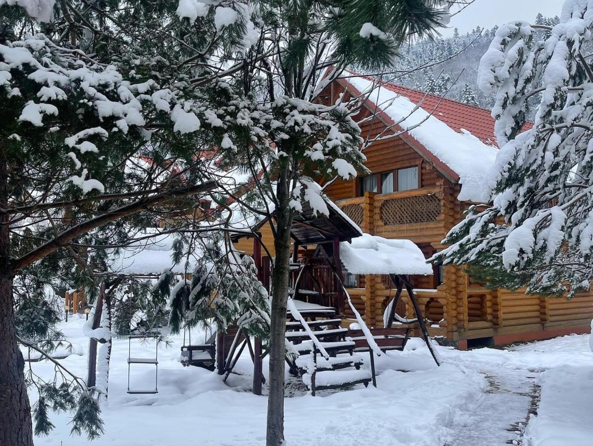 Villa "Затишна" Mykulychyn Exterior photo